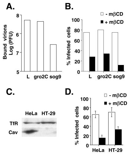 FIG. 7.