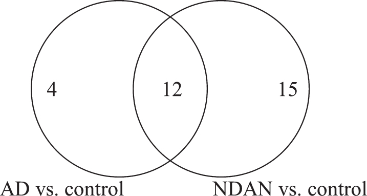 Fig.2