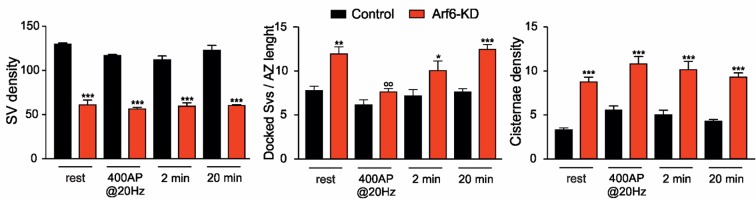 Figure 7—figure supplement 1.