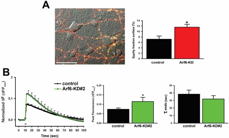 Figure 5—figure supplement 2.