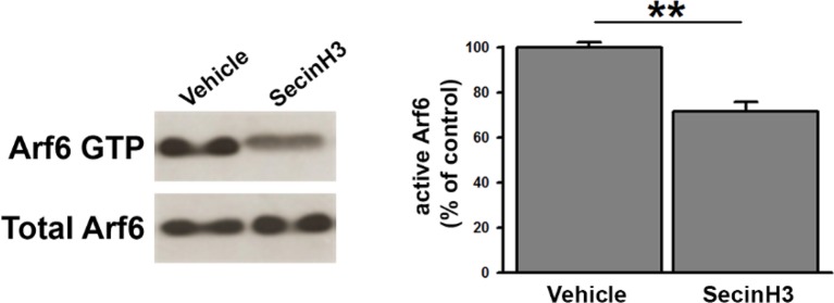 Figure 3—figure supplement 1.