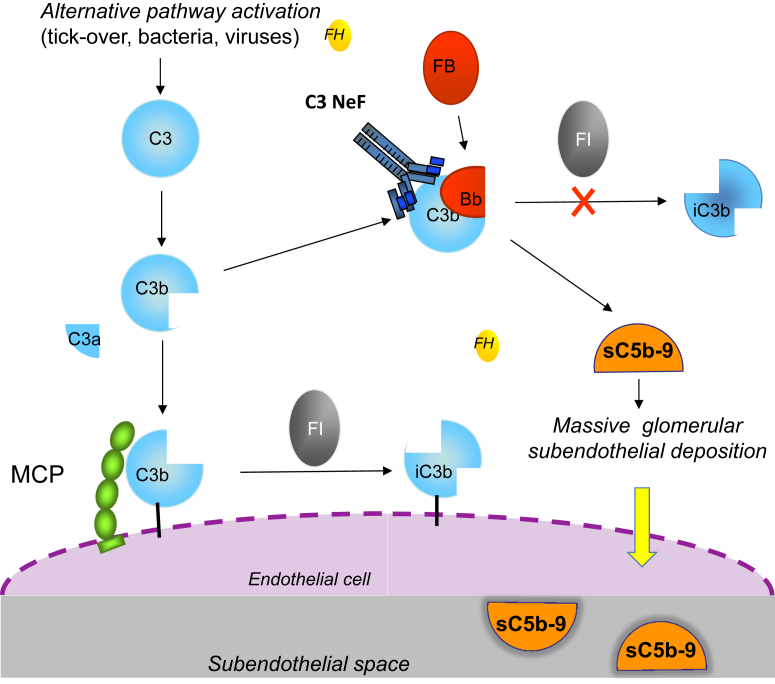 Figure 7