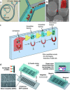 FIG. 2.