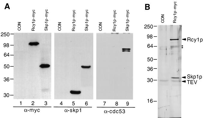 FIG. 7