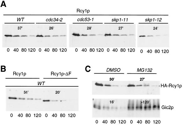 FIG. 6