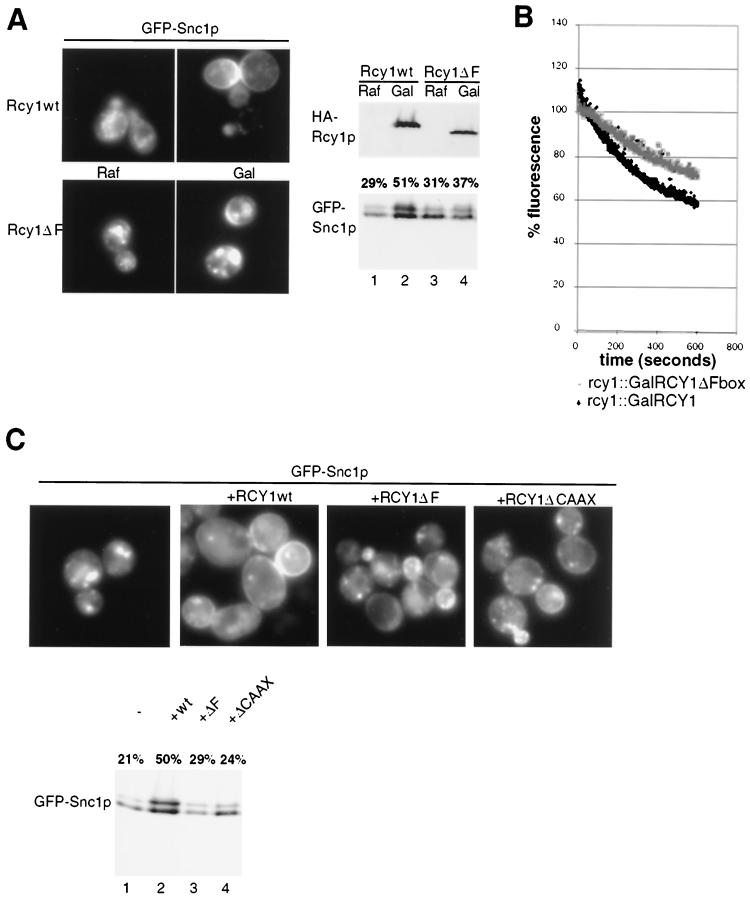 FIG. 4