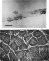 354-1