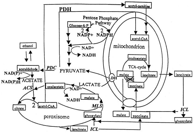 FIG. 8.