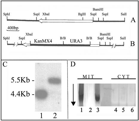 FIG. 3.