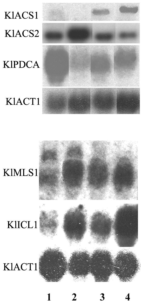 FIG. 7.