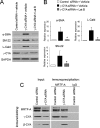FIGURE 6: