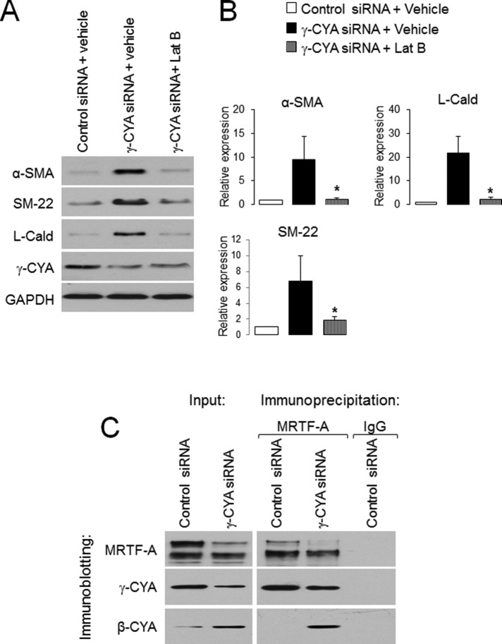 FIGURE 6: