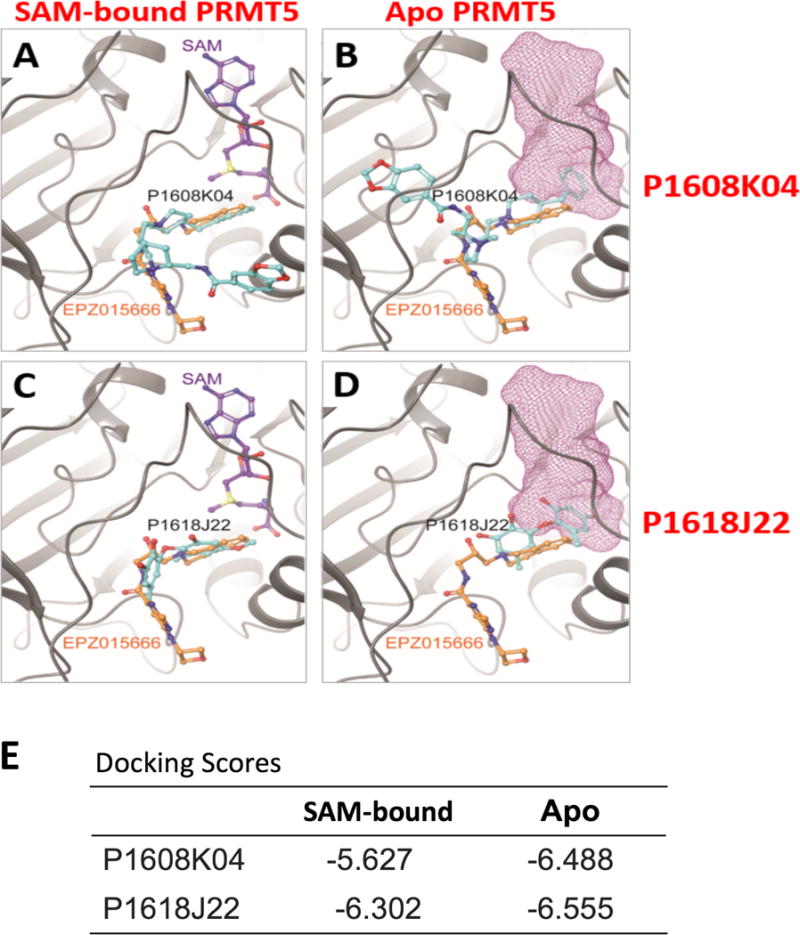 Fig. 10