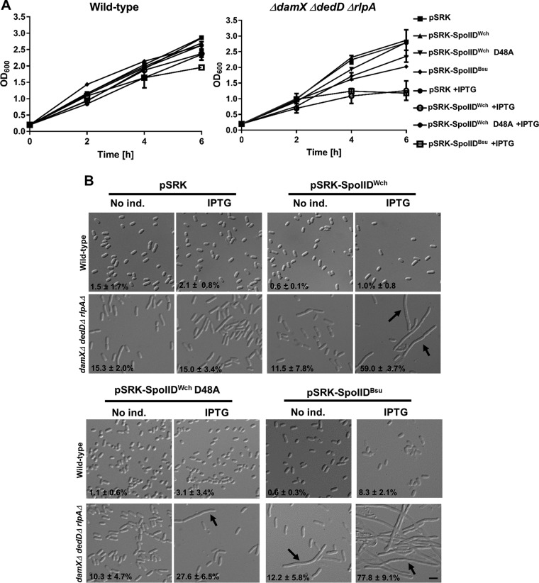 FIG 6