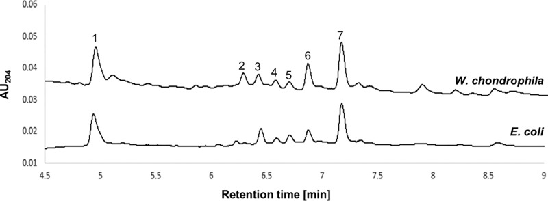 FIG 1