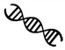 graphic file with name biomimetics-05-00018-i022.jpg