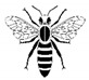 graphic file with name biomimetics-05-00018-i021.jpg