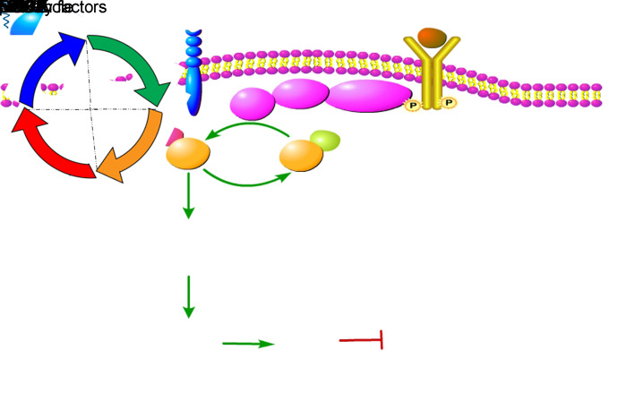 graphic file with name jciinsight-6-142299-g181.jpg