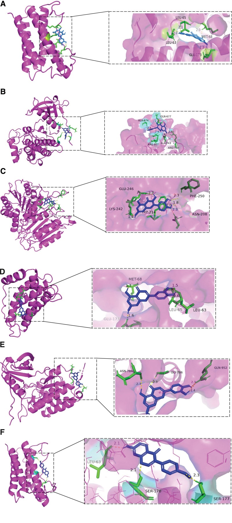 Figure 10.