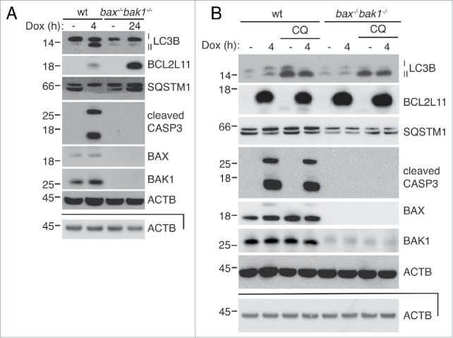 Figure 5.