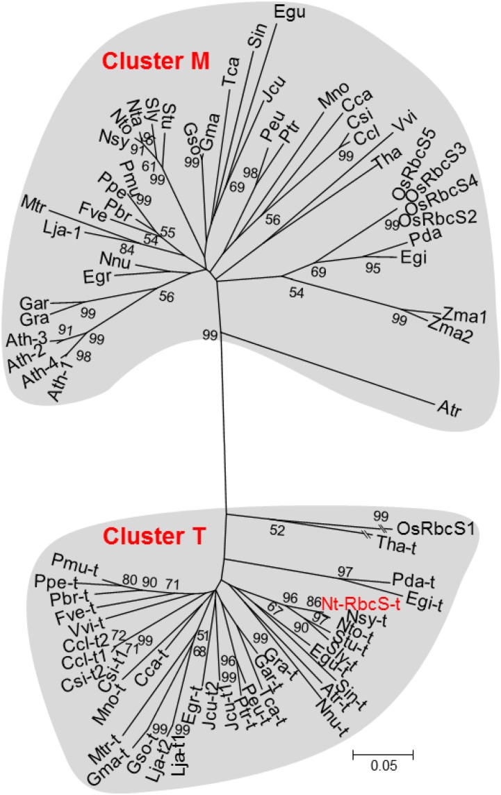 Figure 3.