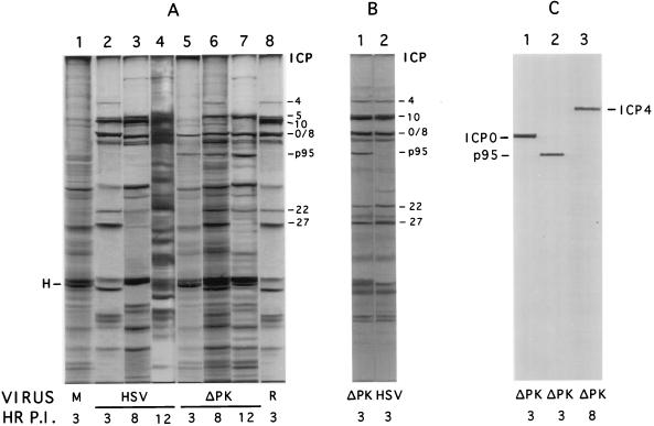 FIG. 8