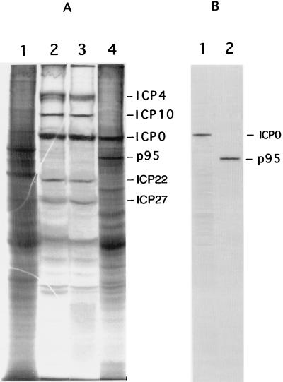 FIG. 9