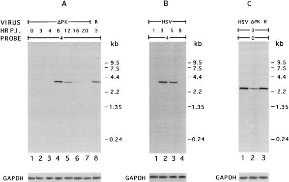 FIG. 10