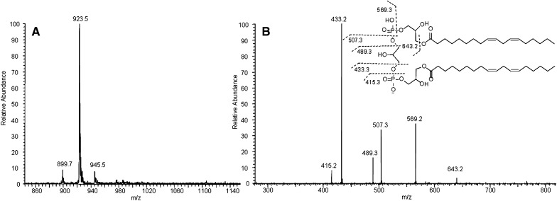 Fig. 4.