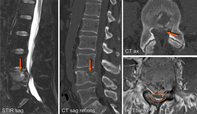 Fig. 8