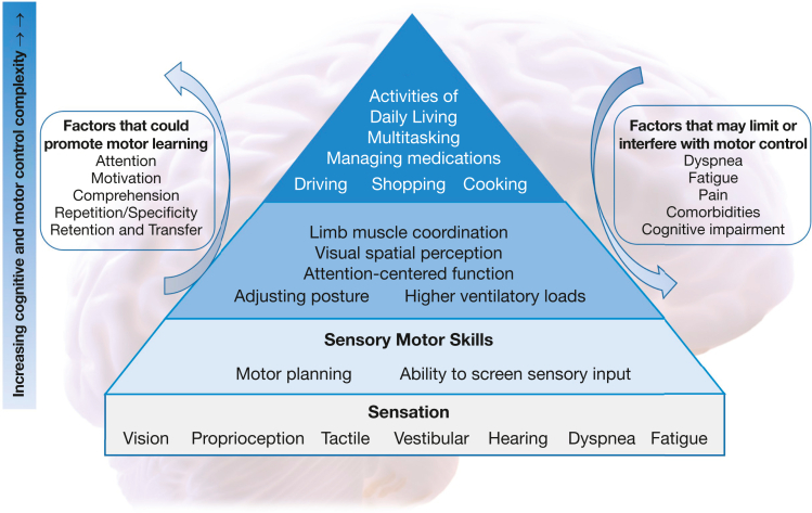 Figure 1