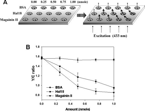 FIG. 6.