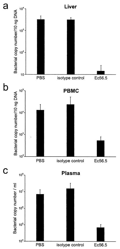 FIG. 7.