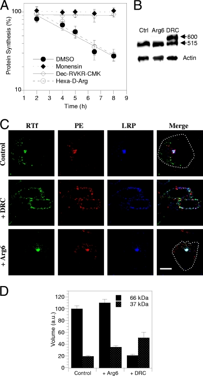 FIG. 8.