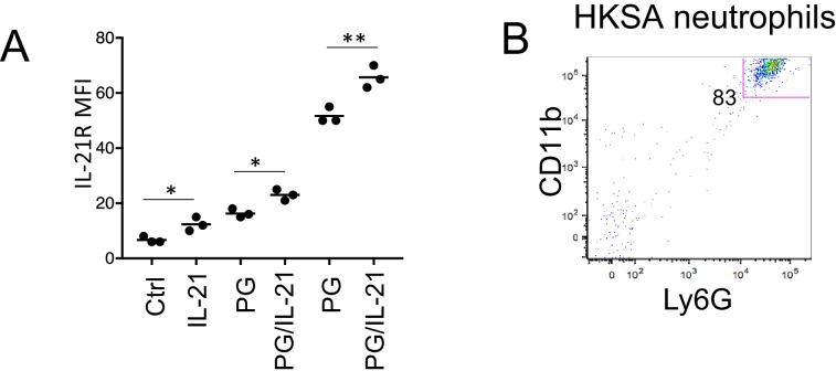 Figure 2—figure supplement 1.