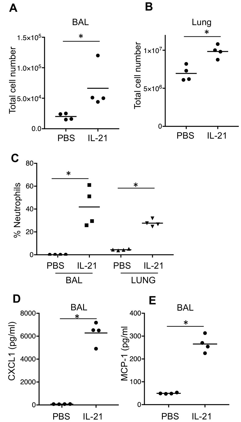 Figure 1—figure supplement 2.