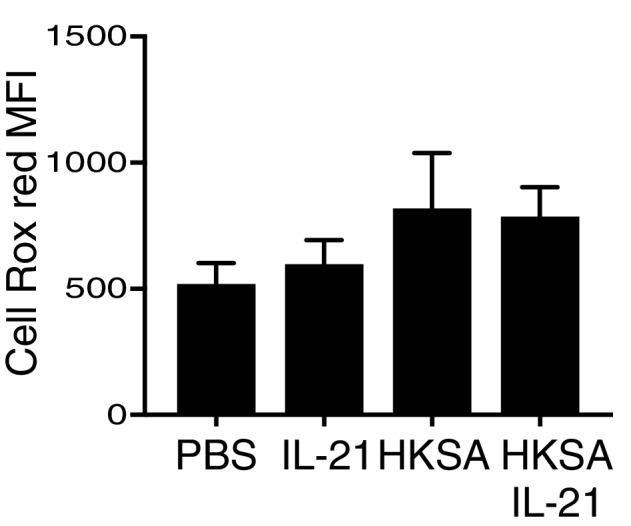 Figure 3—figure supplement 2.