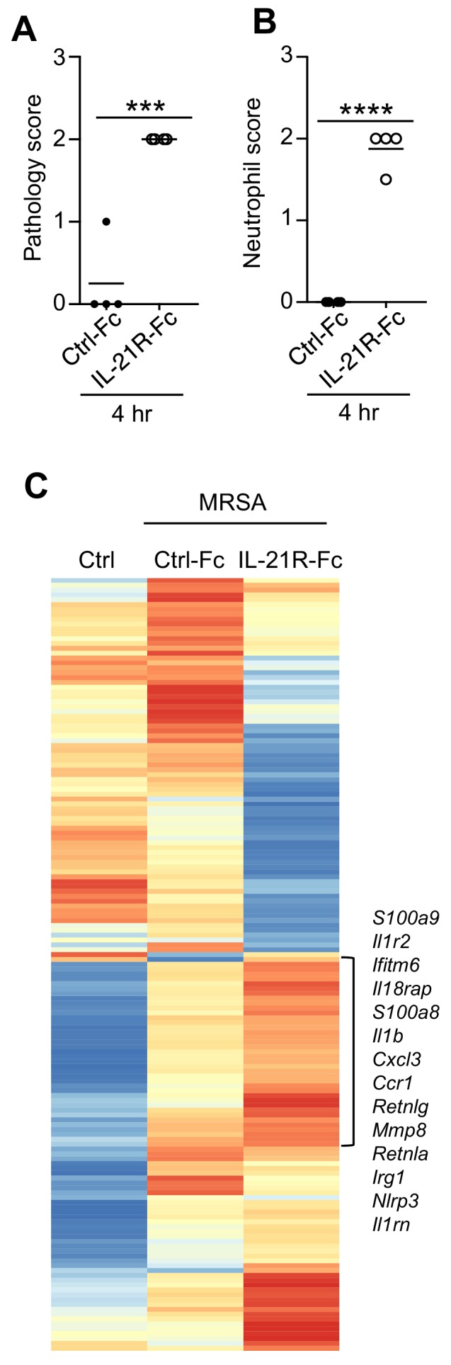 Figure 6—figure supplement 1.