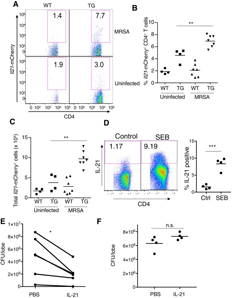 Figure 1—figure supplement 1.