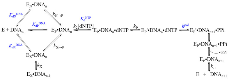 Scheme 2
