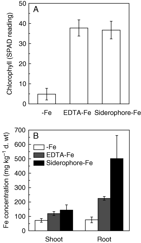 Fig. 5.