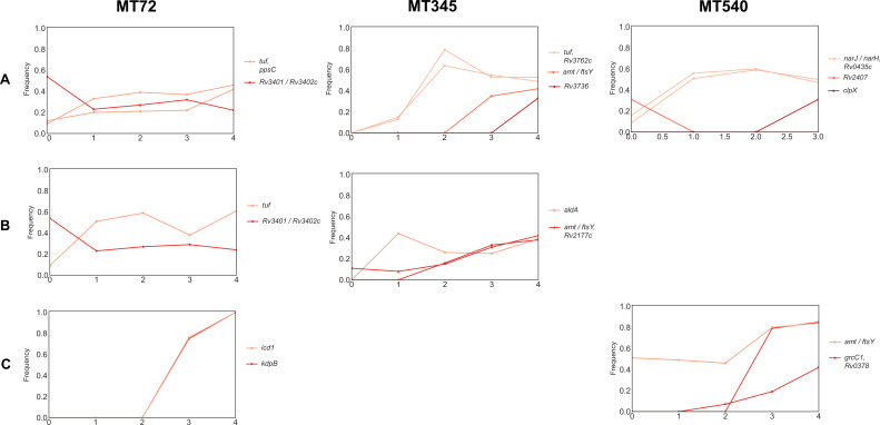 Figure 6—figure supplement 2.