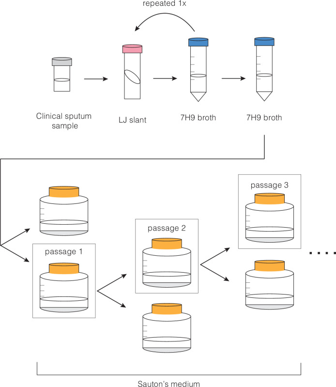 Figure 10.