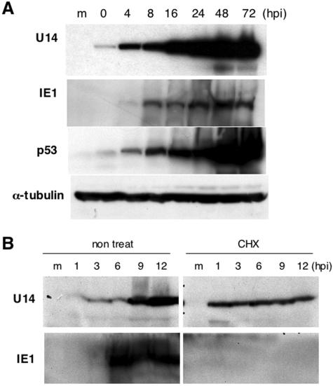 FIG. 5.