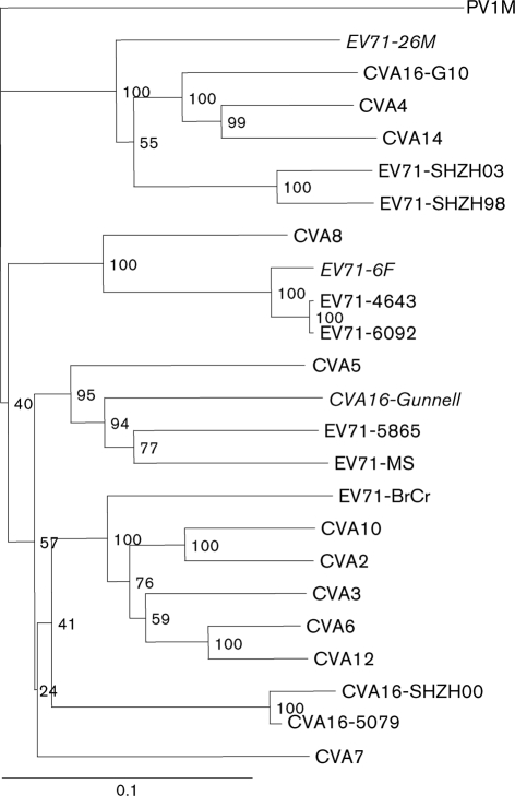 Fig. 1. 