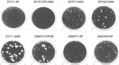 Fig. 3. 