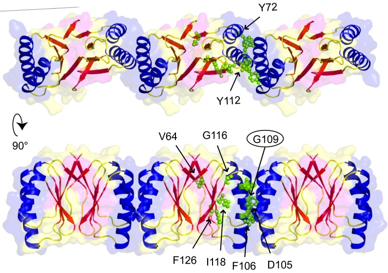 Fig. 4.