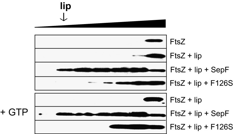 Fig. 9.