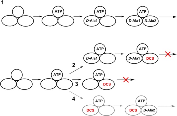 Scheme 3