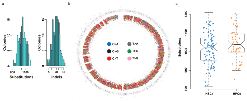 Extended Figure 3